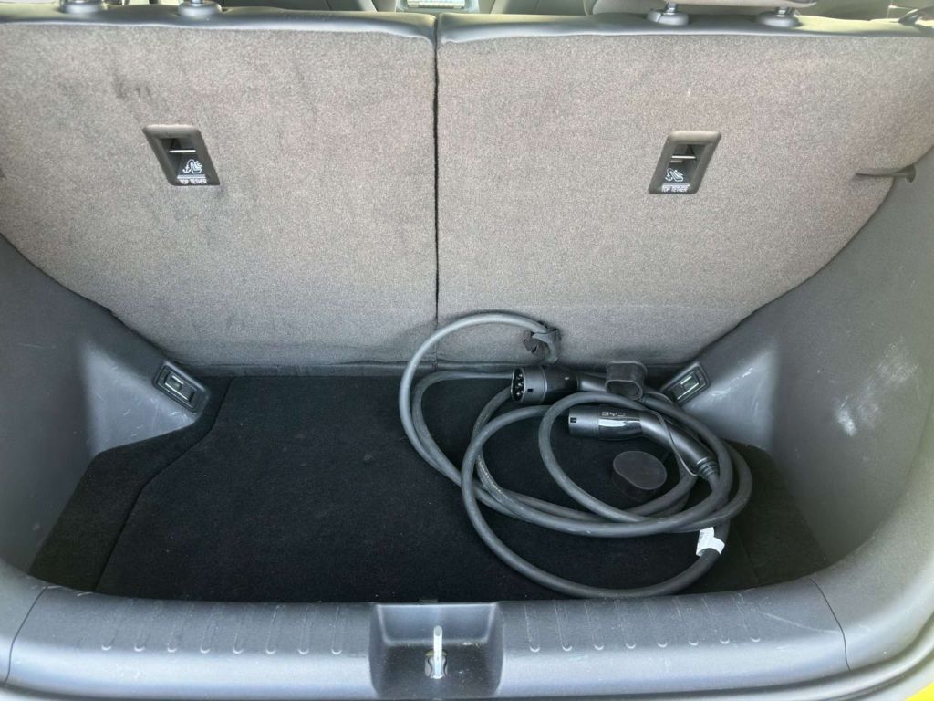 BYD Dolphin Surf
