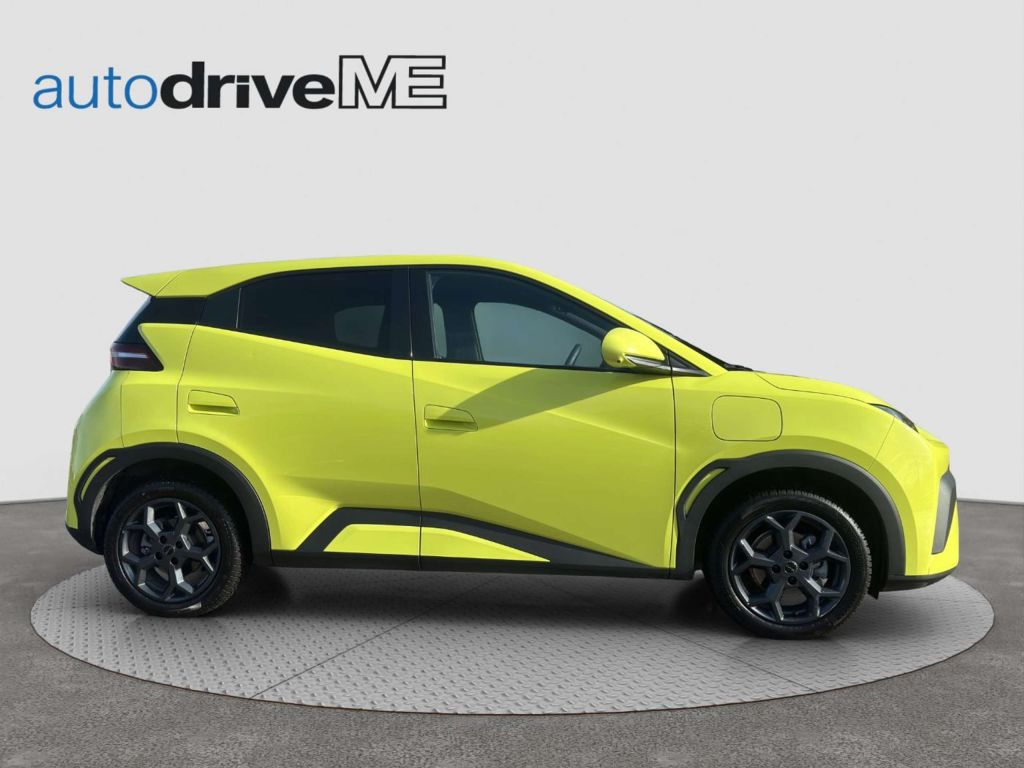 BYD Dolphin Surf
