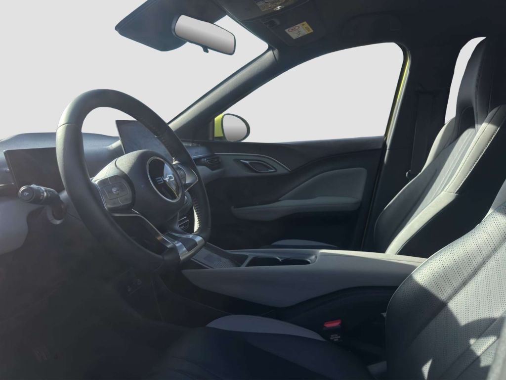 BYD Dolphin Surf
