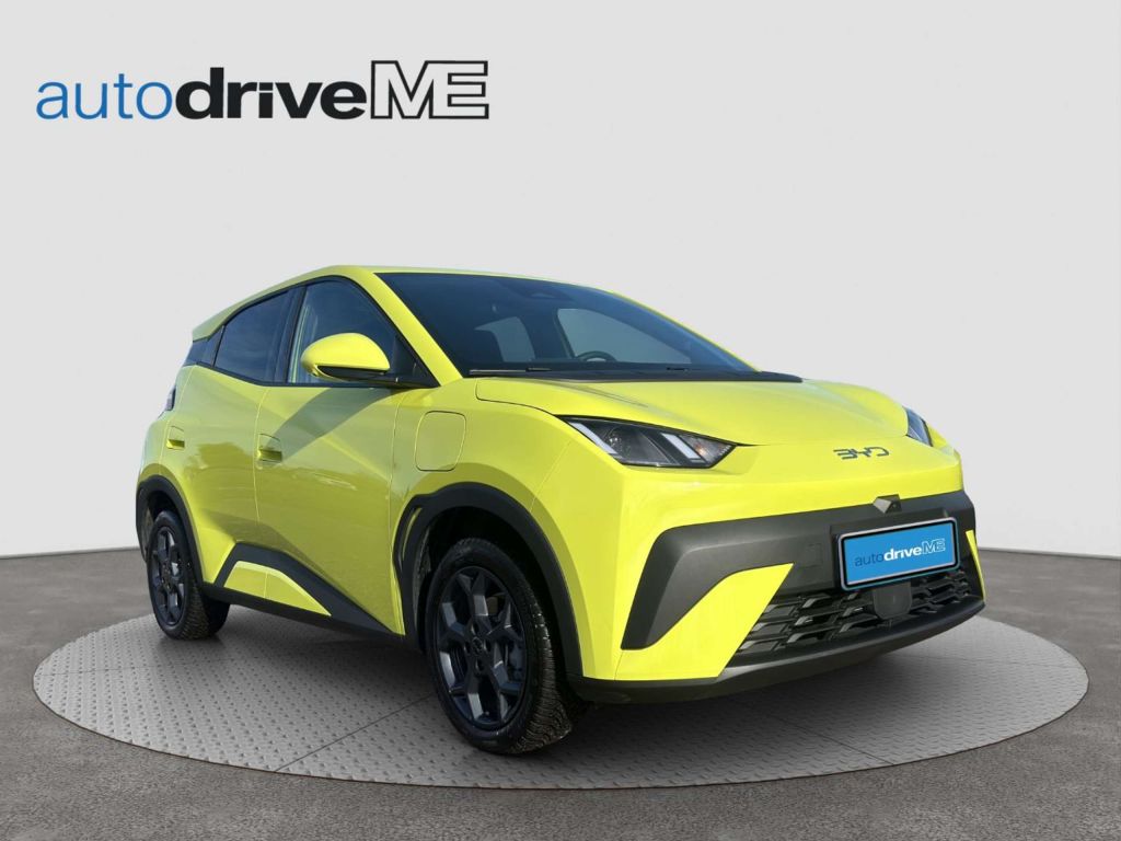 BYD Dolphin Surf