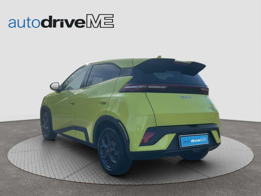 BYD Dolphin Surf