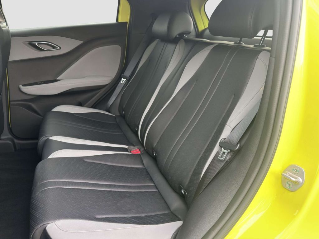 BYD Dolphin Surf