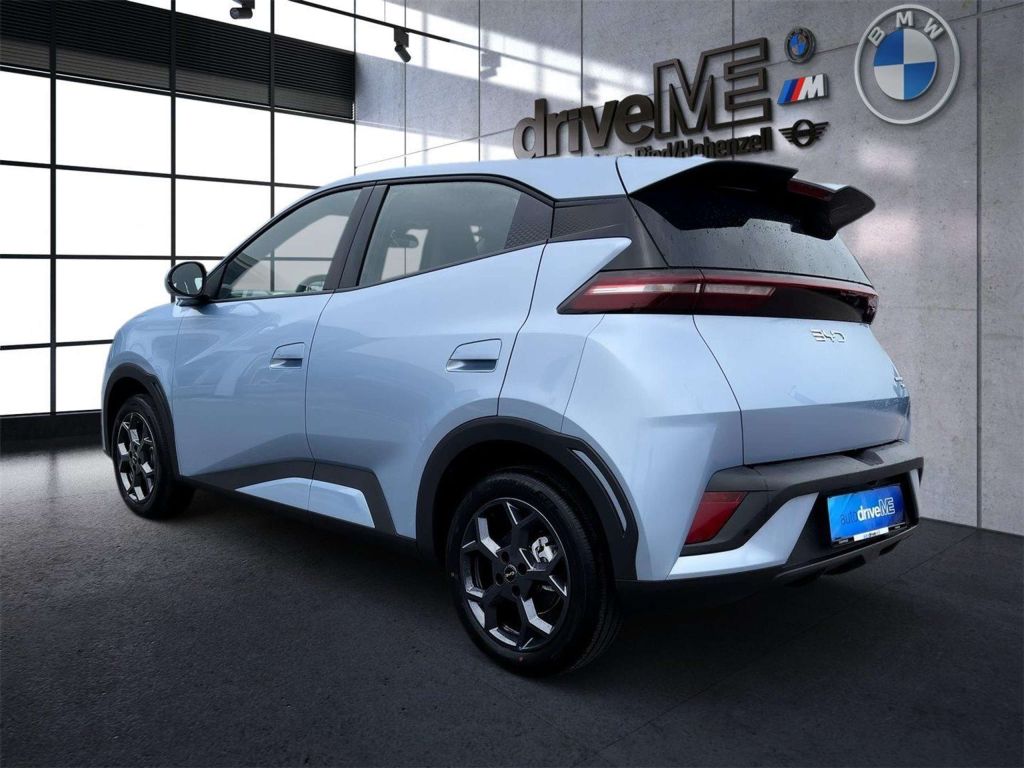 BYD Dolphin