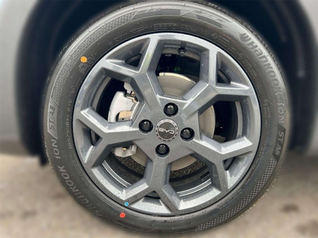 BYD Dolphin