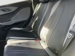 BYD Dolphin Surf
