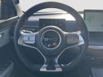 BYD Dolphin Surf