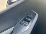 BYD Dolphin Surf