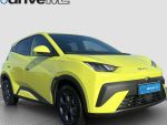 BYD Dolphin Surf