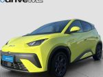 BYD Dolphin Surf