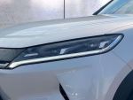 BYD Atto 2